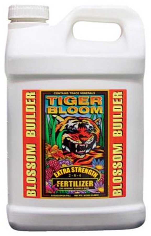 2.5GAL Tiger Bloom