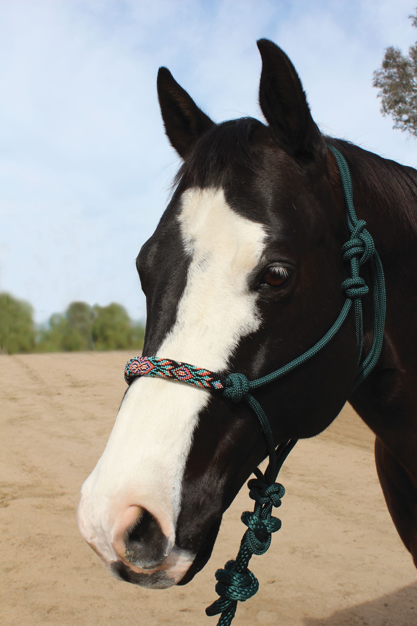 Halter Beaded Rope