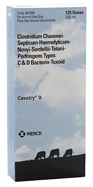 Bovilis® Cavalry® 9