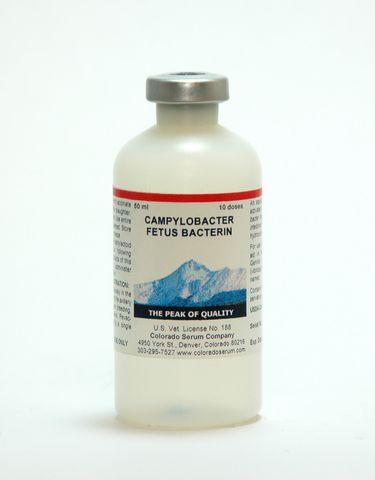 Campylobacter Fetus Ovine