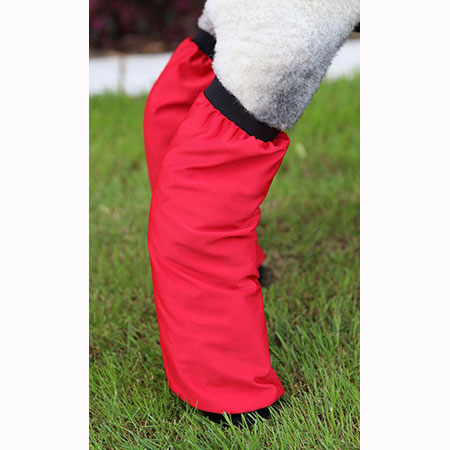 Sullivans Lamb Leg Tube