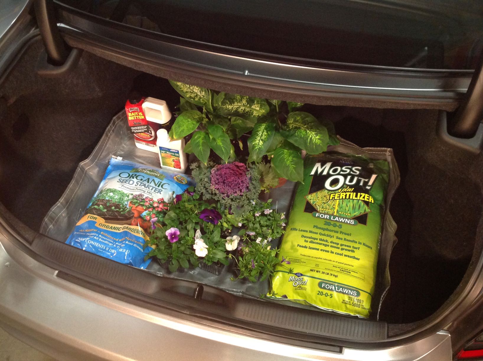 TRUNK GUARD LINER