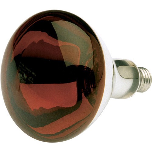 Heat Lamp Bulb Red 250 Watt