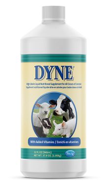 Dyne Supplement 1 Gal