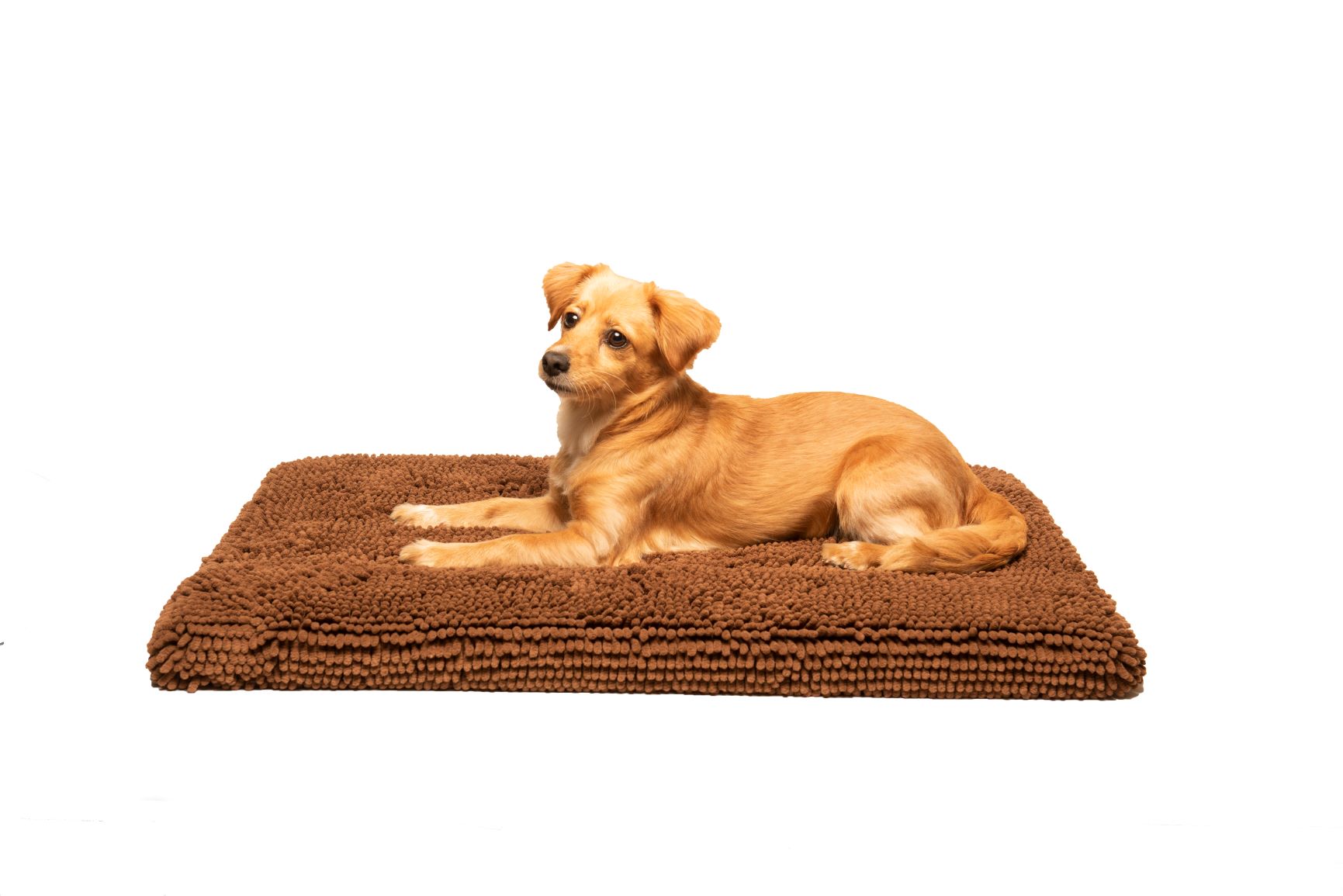 Dirty Dog Cushion Beds