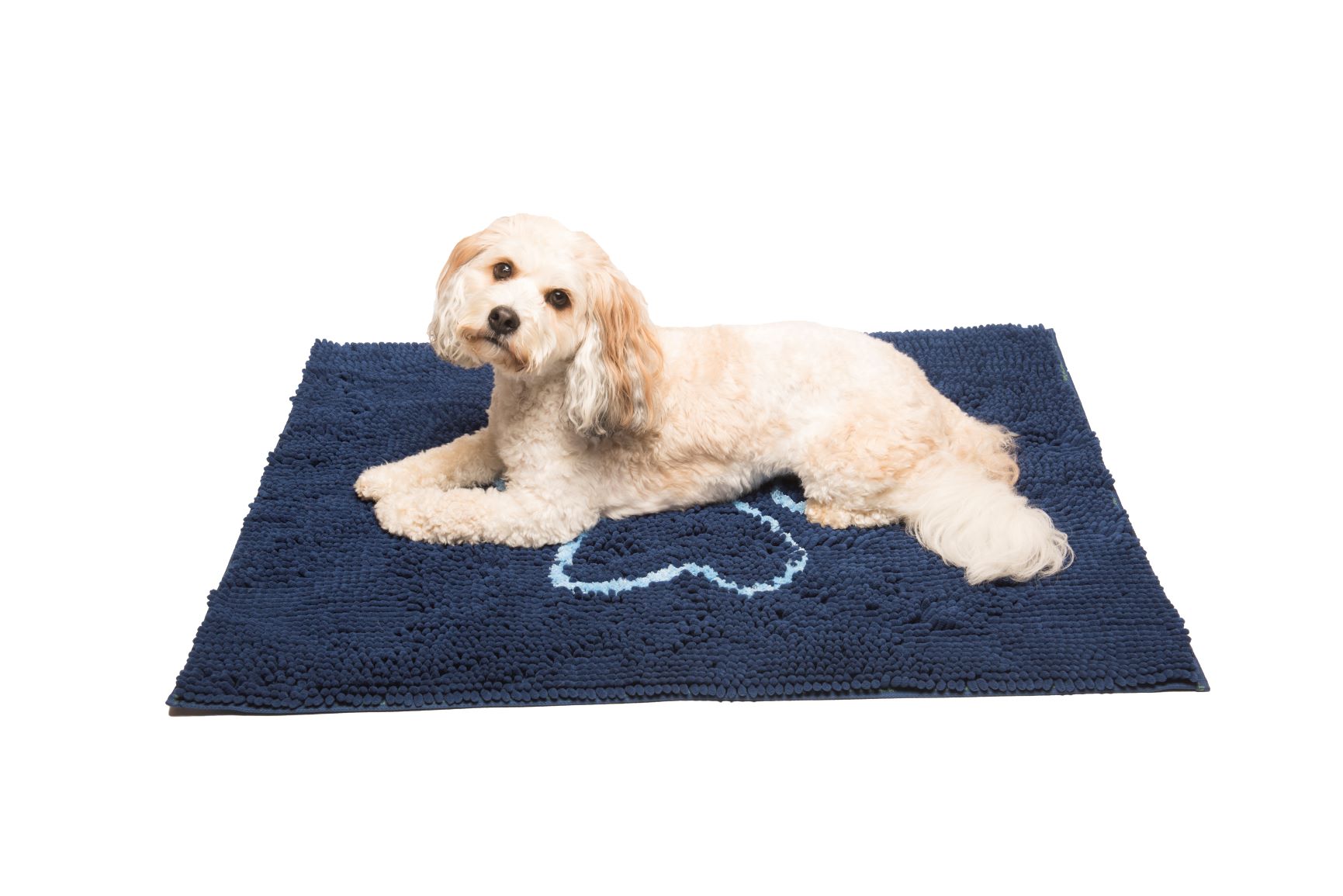Dirty Dog Mat