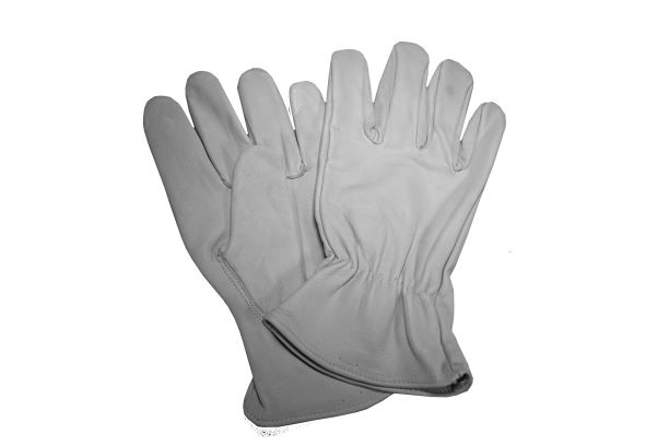 Goat Grain Keystone Driver Glove