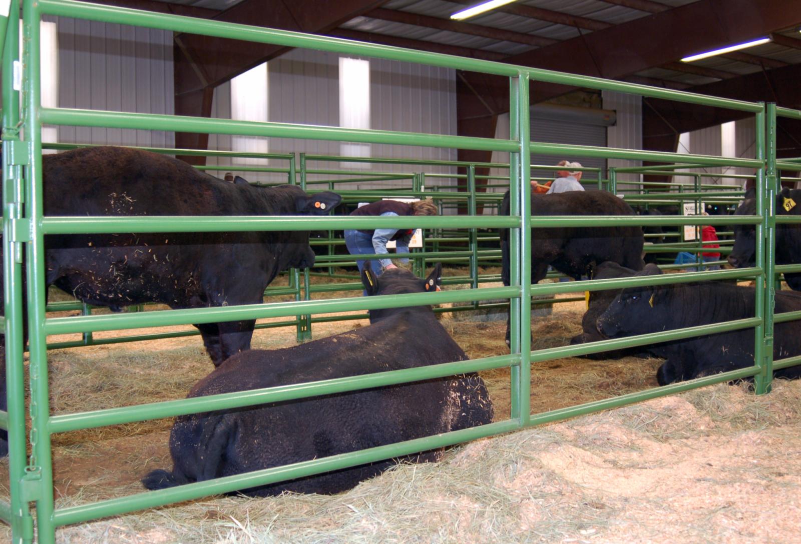 Powder River 1600 Tube Panel 16 ga. x 64" height