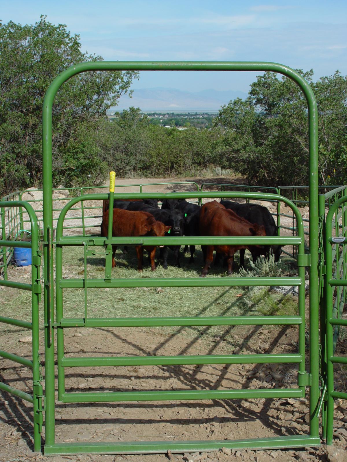 Powder River Classic Bowgate