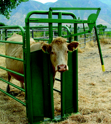 Powder River Value Manual Head Stanchion