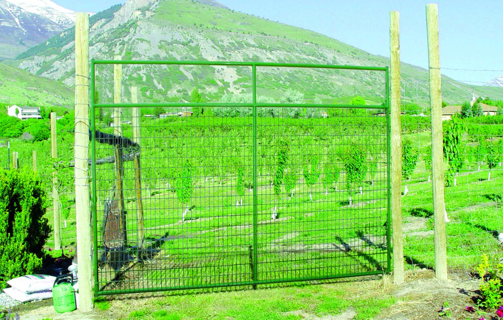 Powder River Wire Filled Deer Gate 92" height