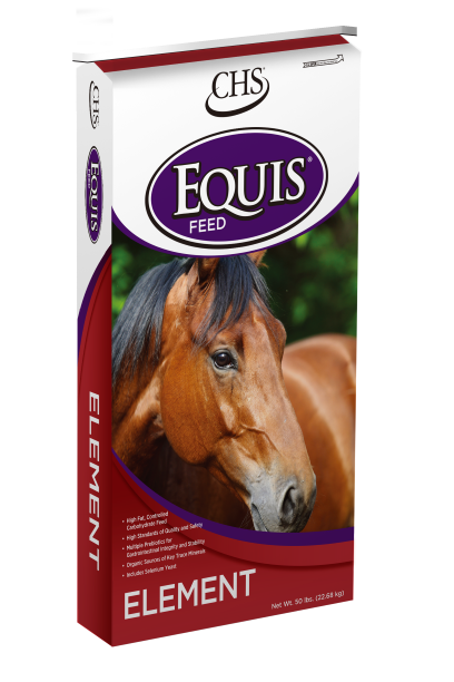 Equis Element 50 lb.