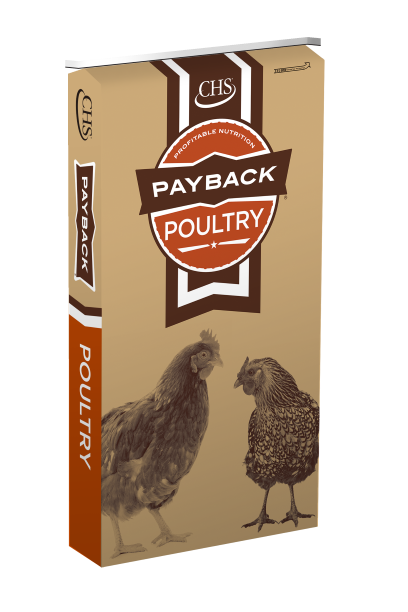 Payback Hatch To Hen, 50 lb.