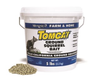 Tomcat Ground Squirrel 5#