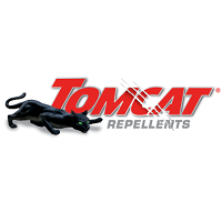 tomcat