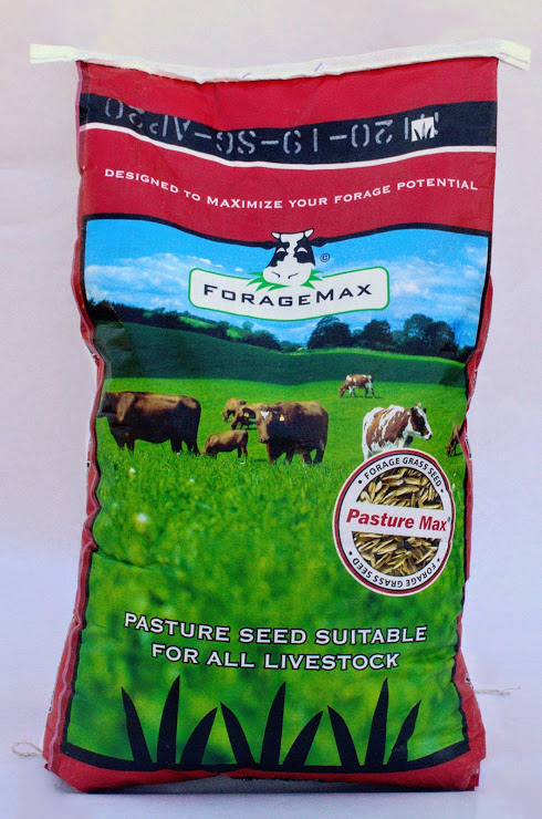 Pasture Max Pasture Seed Mix 25 lb. Savory Tall Fescue 39.78%, Mammoth