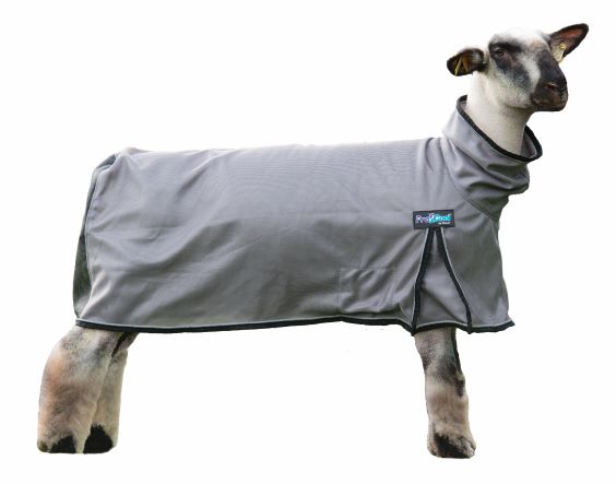 Procool Sheep Blanket M gry/blk