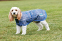 Weatherbeeta Comfit Parka 1200D Deluxe Dog Coat