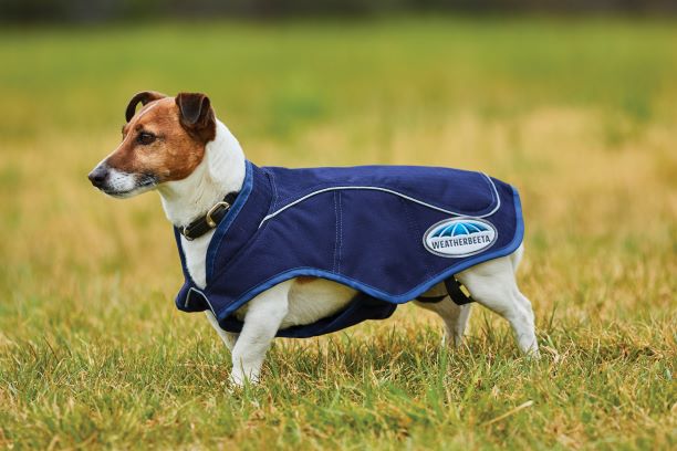 Weatherbeeta Exercise Dog Coat 1200D Navy