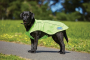 Weatherbeeta Reflective Exercise Dog Coat