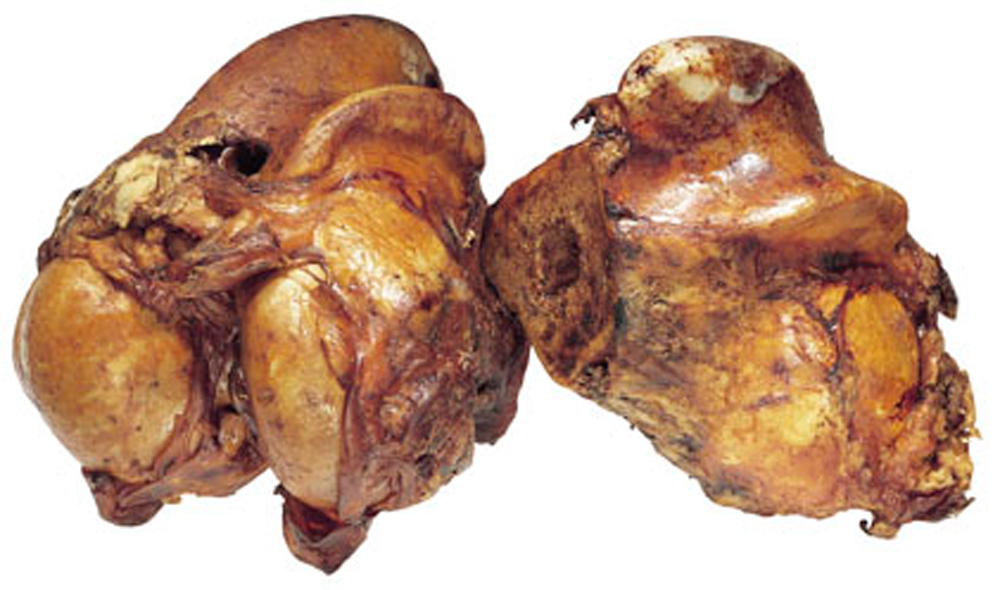 Redbarn Knuckle Bone Smoked