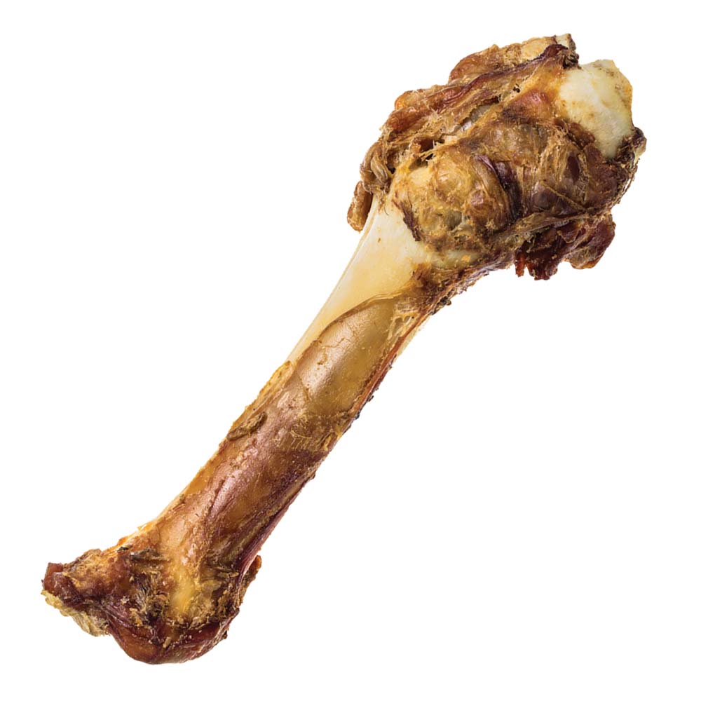 Redbarn Shank Bone Large