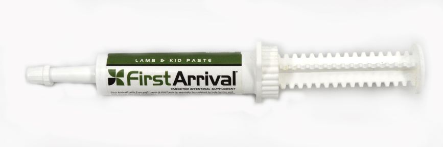 First Arrival Lamb/Kid Paste