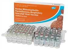 Inforce III Internasal Single Dose