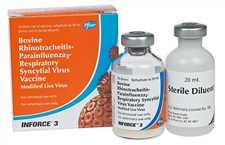 Inforce III Intranasal 10ds