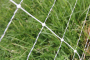 Gallagher Turbo Electric Sheep Netting 35" X 164'