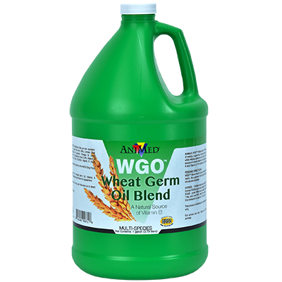 AniMed WGO Wheat Germ Oil Blend 1 gallon
