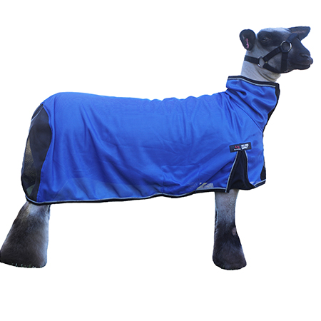 Cool Tech Lamb Blanket