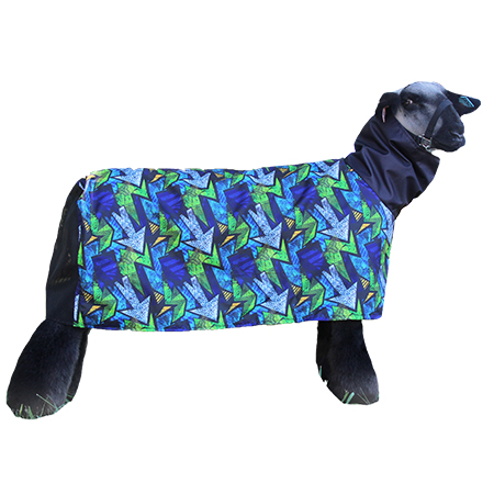 Sullivans Lamb Blanket