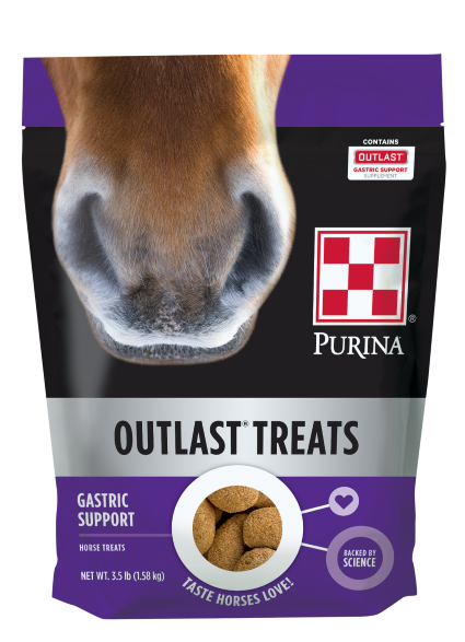 Purina Outlast Horse Treats 3.5 lbs.