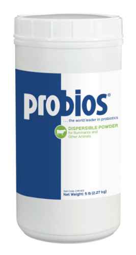 Probios Powder, 5 lb.