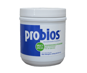 Probios Powder 240gm