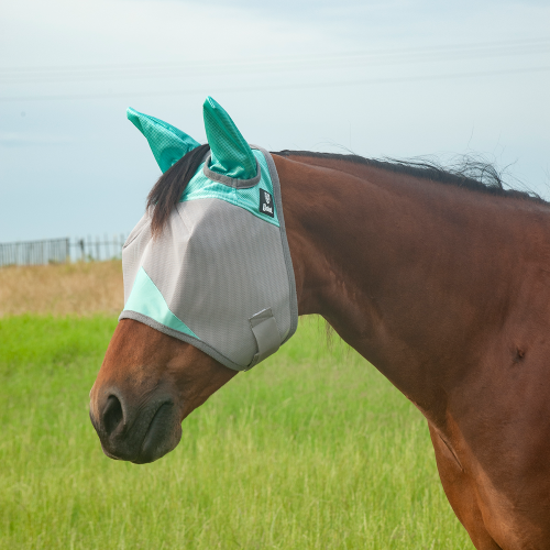 Cashel Fly Mask with Ears