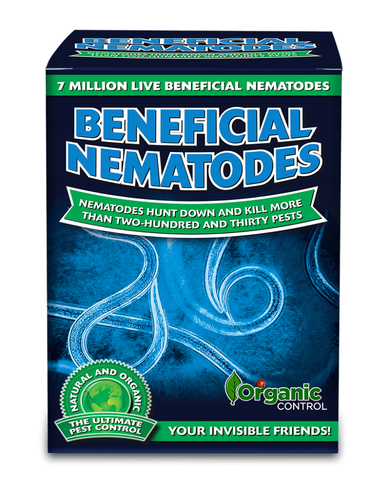 BENEFICIAL NEMATODES, 7 M