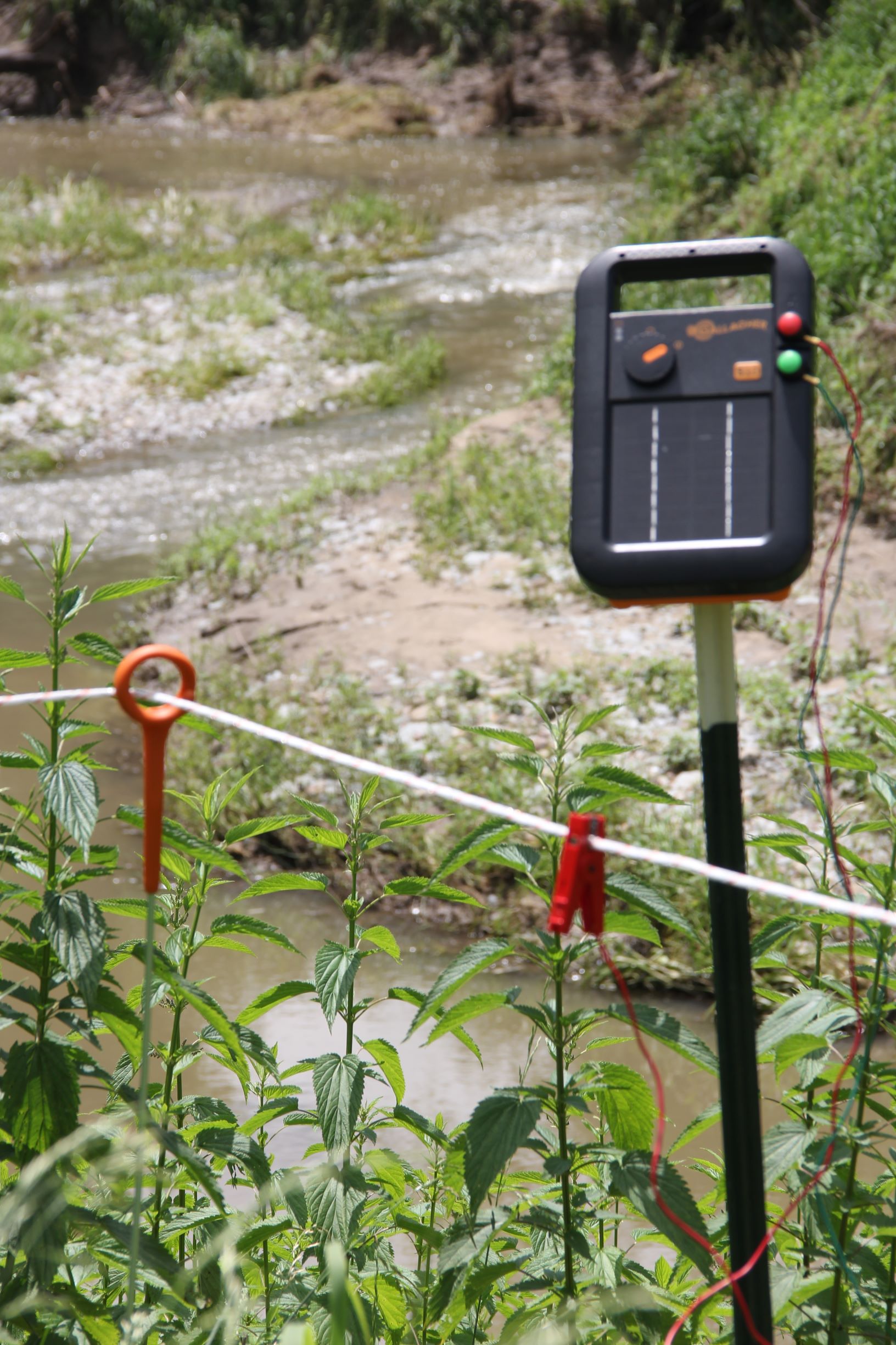 Gallagher S20 Solar Energizer