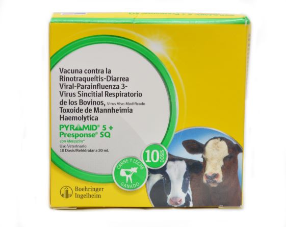 Pyramid 5 w/ Presponse 10 dose