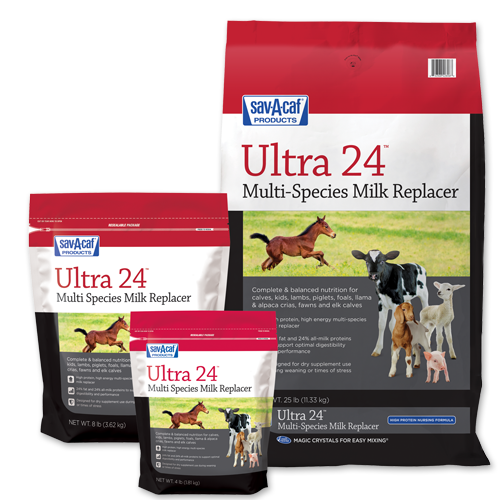 Ultra 24 Multi-Purpose Milk Replacer, 4 lb.