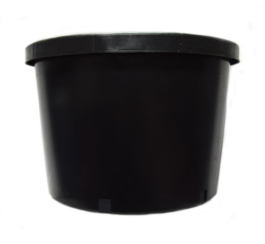 Nursery Pot 10 Gal Short