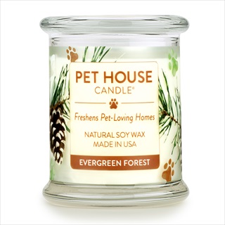 Pet House Candle, Evergreen Forest