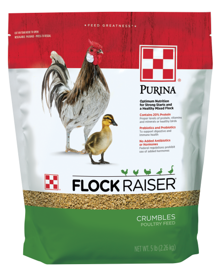 Purina Flock Raiser Crumbles 5 lb.