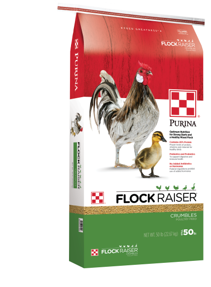Purina Flock Raiser Crumbles, 50 lb.