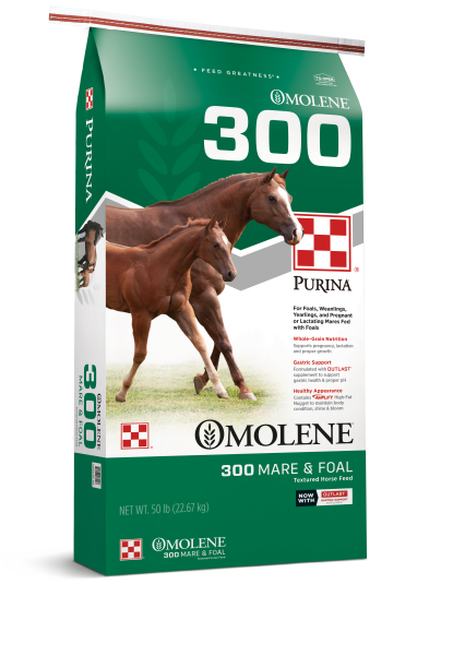Purina Omolene 300 50 lb.