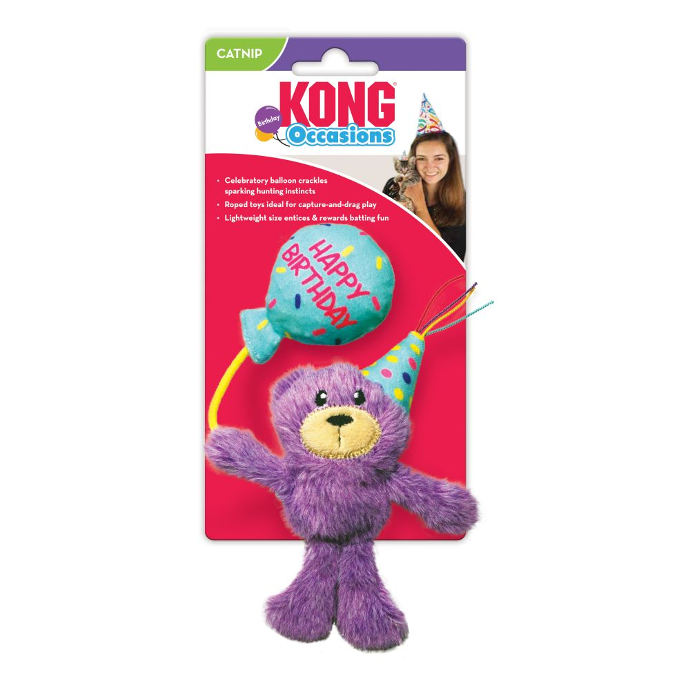 Kong Birthday Teddy Cat Toy