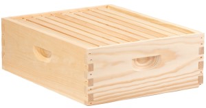 Beehive Frame, Medium