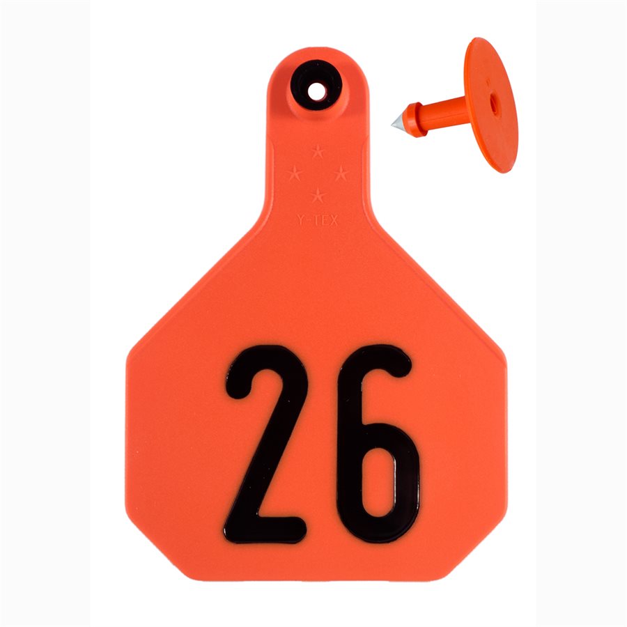Y-Tex 3* Orange Number Tags, 26-50
