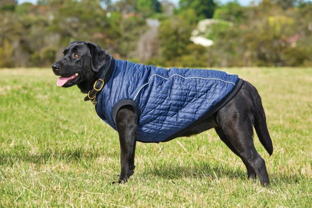 WeatherBeeta Puffer Dog Coat